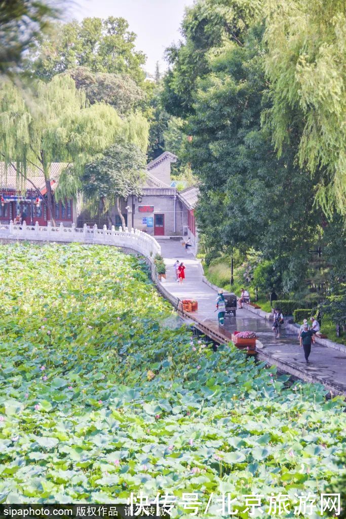 风景|免费！风景如画，微风湖畔，这个避暑圣地就在…