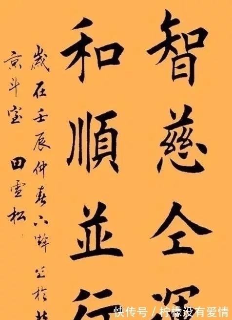 曾翔#田雪松替父鸣不平,怒斥曾翔邵岩:你们的丑书才是“马桶装饭”