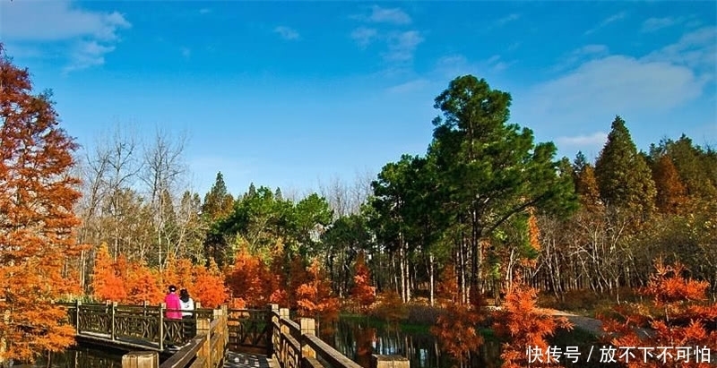 种植了大量|它被誉为南京九寨沟，红枫美景堪比栖霞寺，却少有人知