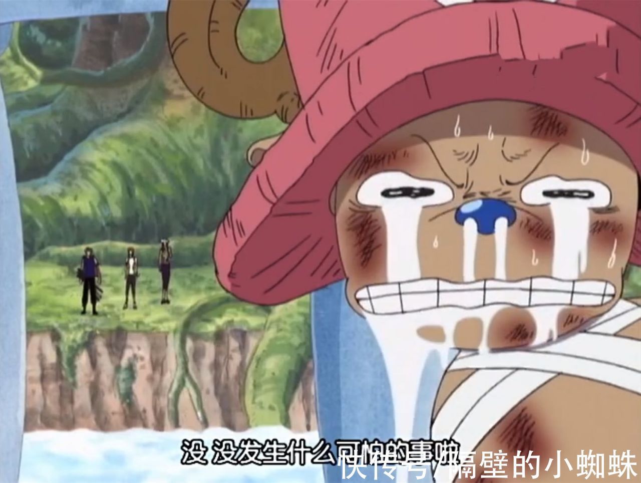 哲普|海贼王1030话,山治为何不接受自己身体的变化?