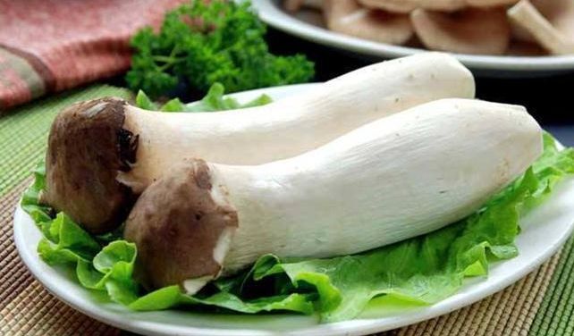 排毒|女性养生,3种食物换着吃,补水润肤,排毒抗衰,清理体内毒素