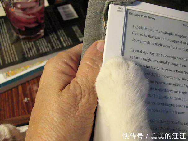 看什么书看书,难道我还没有书好看吗