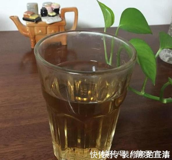 小玩意|花草长了虫，用家里一些小玩意，一喷就消灭光，药都不用买！