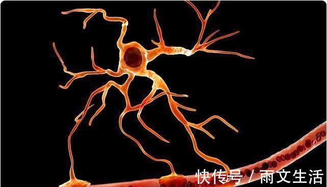 血管堵塞|血管的“去污剂”不是芹菜,平时紧着吃,给血管冲冲澡,血脂降了