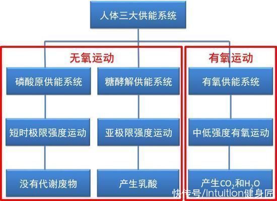 能量|了解有氧和无氧的区别以及关系，别再纠结于谁的减脂效果更好