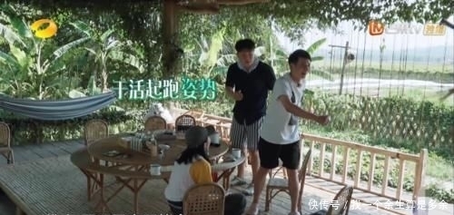 《向往4》因一盘菜遭板脸彭昱畅对黄磊称呼突变,关系一望而知