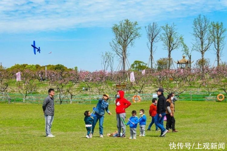 南汇桃花村/新场古镇/浦东红窑……这场浦东的花之约，你来了吗？