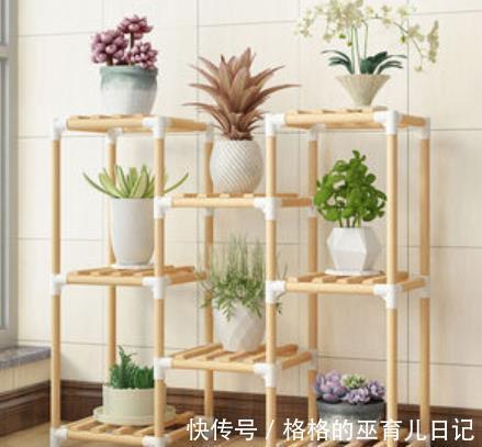 3个养花“小东西”,都是商家的智商税,花花养不好还浪费钱