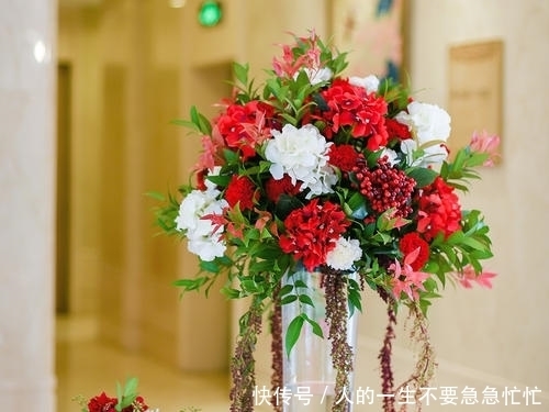 俗语:鲜花屋中放,花旺人不旺,有道理吗?为何房间里不能种花?