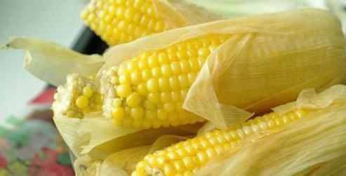 胆固醇|经常吃煮玉米的人，最后都怎么样了？ 4种病从来没患过