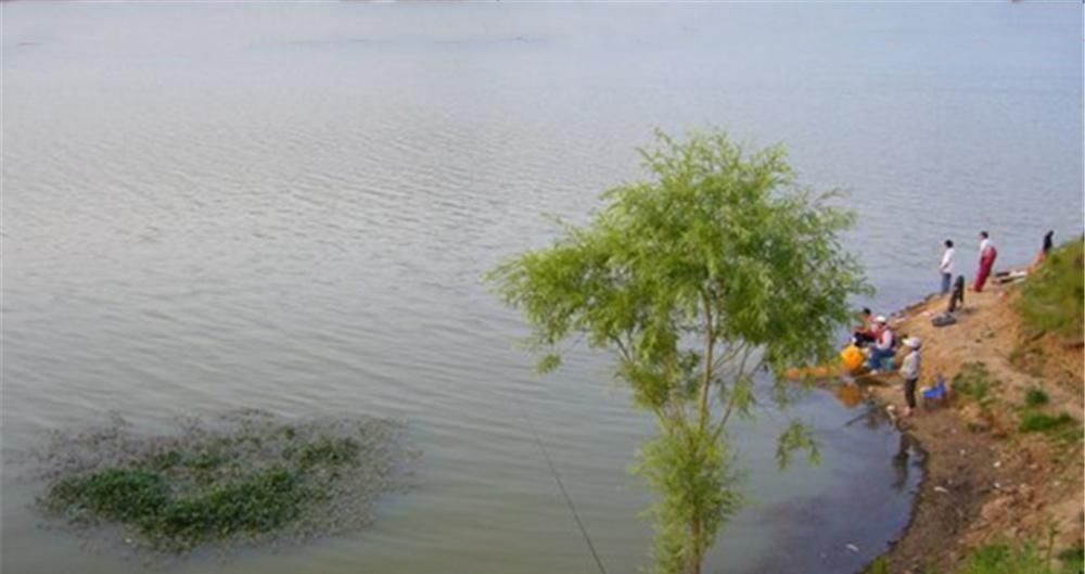 钓不到鱼？基本是天气没选对，这些天气鱼“胃口好”，很容易爆护