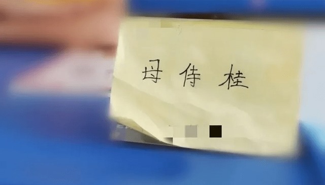 春秋战国|小学生因名字“太简洁”走红,连名带姓一共3笔,且没一笔是弯的