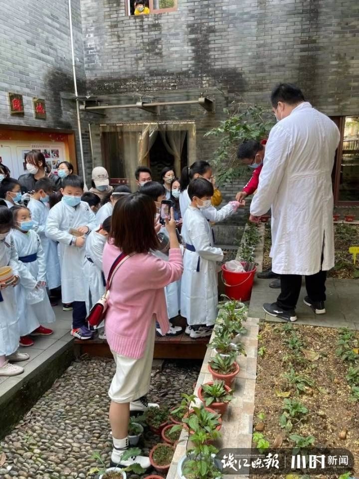 中医药文化|小小药童，领略中医药文化