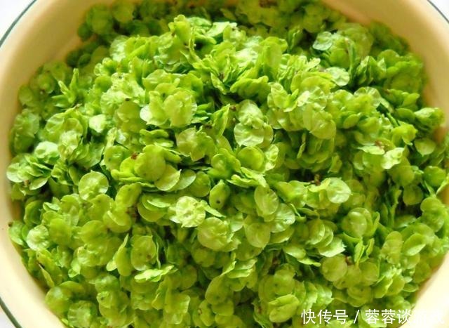 包子馒头靠边站,早餐就馋这美味,好吃简单,连着吃一个月都不腻