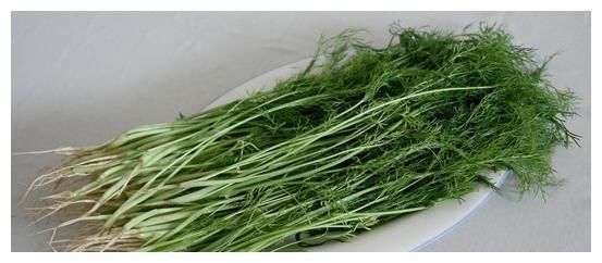 中老年人|高血脂是因为面条吃多了?专家提醒:若想血脂平稳,少吃“3素”