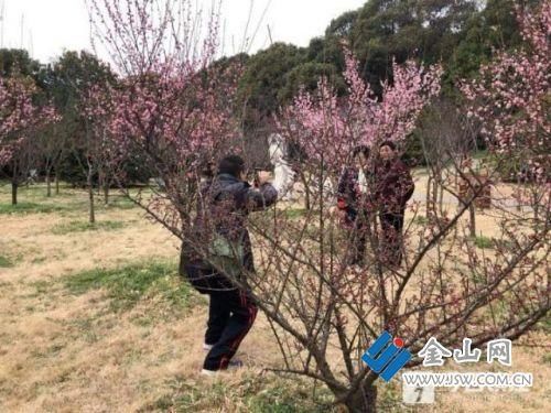 踏青赏花，赴一场春天的约会