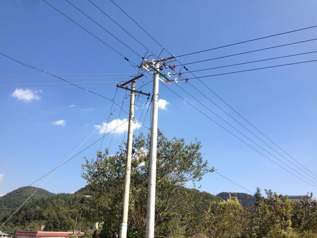 钓鱼误触高压线！嘉兴男子衣服全碎，头成“煤球”，他错在哪里