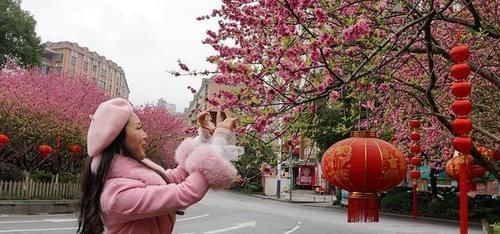 香炉山|郴州：又见桃花朵朵开，欢乐喜庆过新年