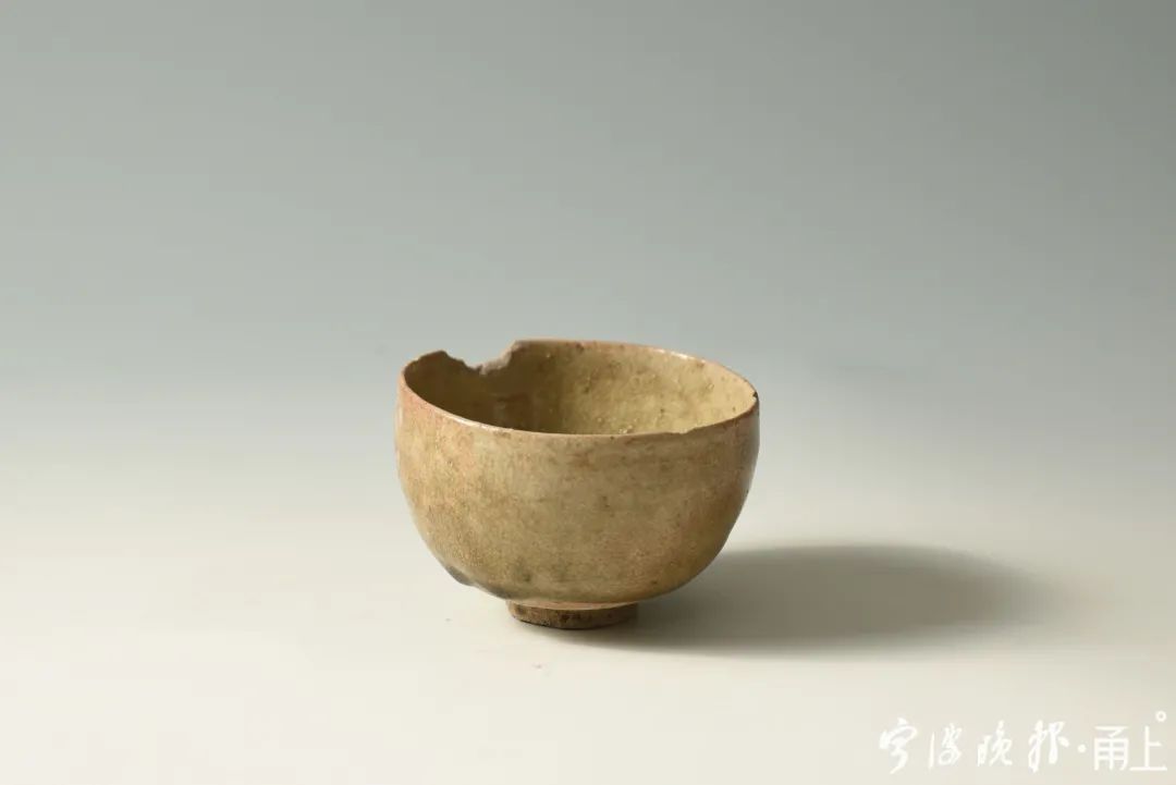  2号护岸|罕见！宁波又有重大发现！