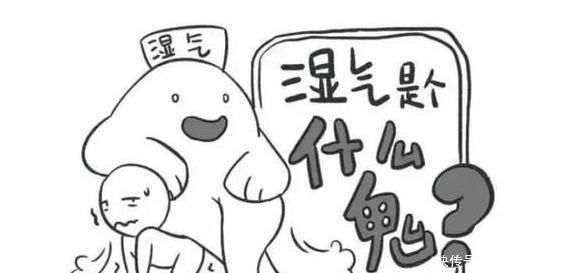 這種食物,是隱藏的“干燥劑”,若喜歡吃,排空體內(nèi)濕氣