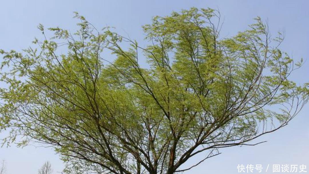 全唐诗&杨万里这首诗美得如诗如画,第一句就是千古名句,从开篇美到结尾