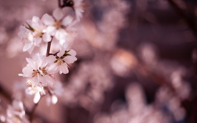 女人!真正有气质的女人,都有这几个特征