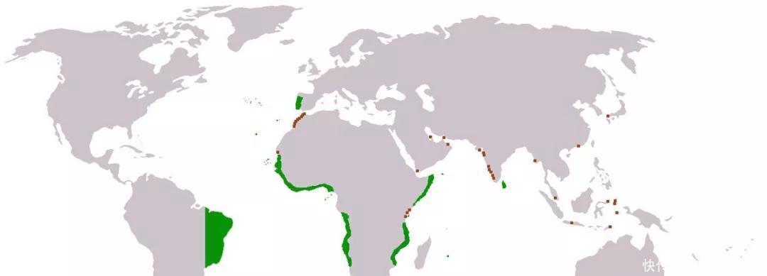 贵族|蓬塔德尔加达海战 葡萄牙海权帝国的沦亡！