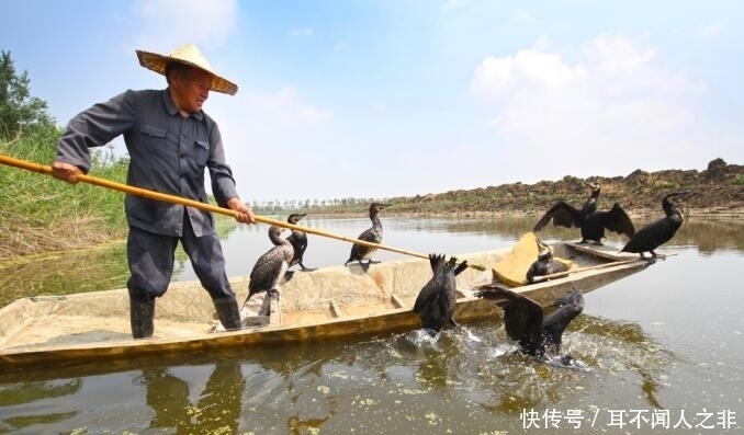 如今|山东的桓台：原本家底实力雄厚，如今却靠颜值吸粉
