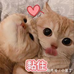 性质|因“低价”被埋没的洗面奶,性质温和,却个个都是王者,好用不贵