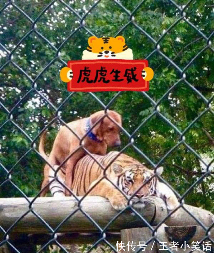 |【被窝段子】因为梦想 所以选择远方;因为无所依靠 所以必须坚强