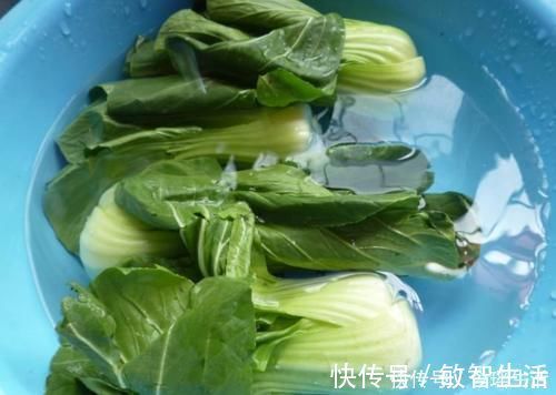 焯水|炒青菜时,学会这“7招”,青菜颜色翠绿不变老,口感鲜嫩更美味