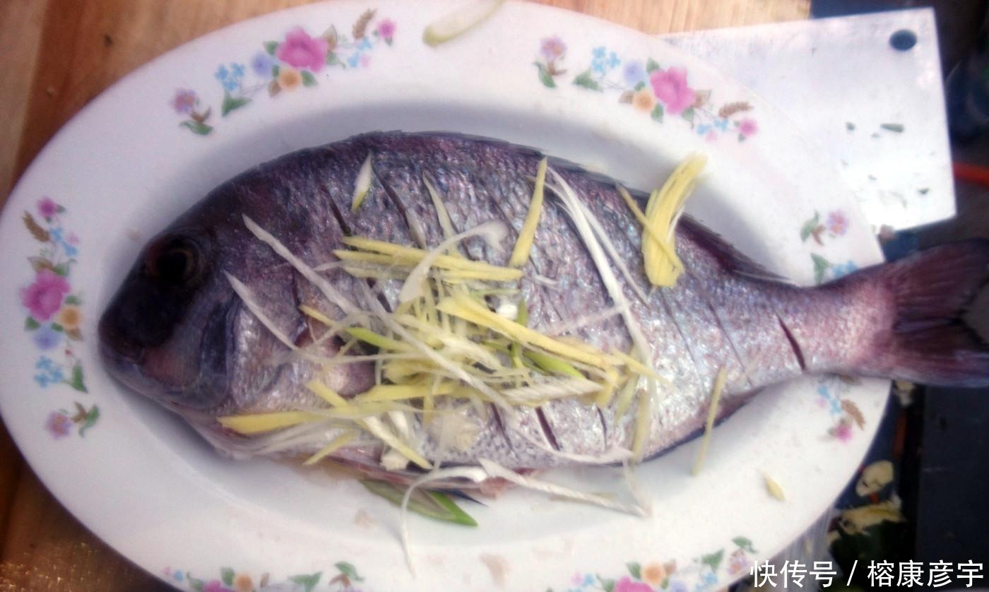 把齐鱼是海鱼吗 把齐鱼是海鱼吗