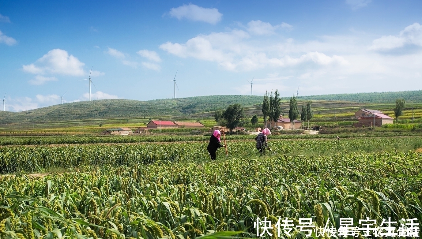 苦甲天下！中国人又一伟大壮举！一张塑料膜，将寸草不生的黄土高原变成绿洲