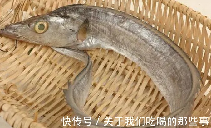 都是带鱼，为啥有的一斤10元，有的300元？老渔民告诉你差在哪儿