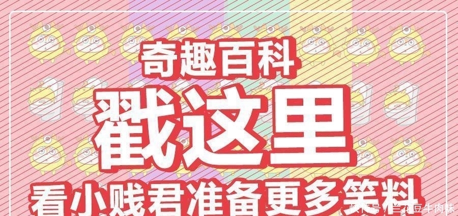 涨姿势 · 龙鱼: 你嫌我丑给我各种整容, 还指望我给你转运? ?