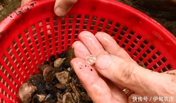 山上|山上砸下的石头,没想到却是个宝贝