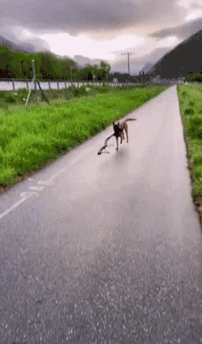 |搞笑笑话,动图:一拳一个歹徒,轻轻松松