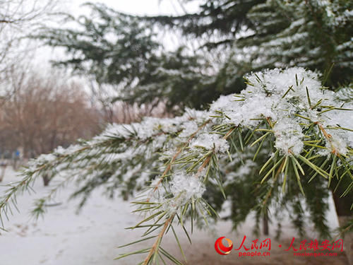 高清：雄安绝美雪景“到货”，请查收