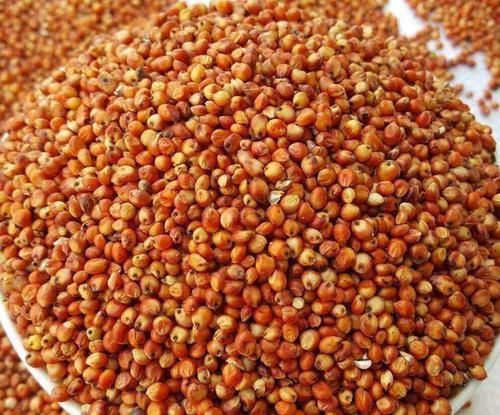 子宫|生活中常见的3种食物,女性常吃,排毒养颜、滋养子宫