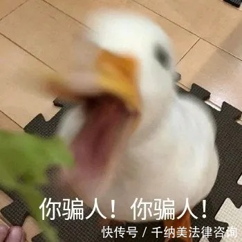 房屋|买二手房风险高,这5点你一定要知道