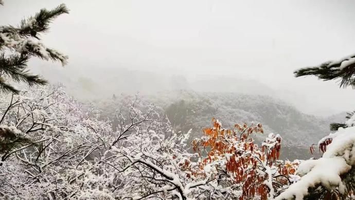 来崆峒山开启一场养生之旅（二）|会养生·来崆峒 | 养生餐