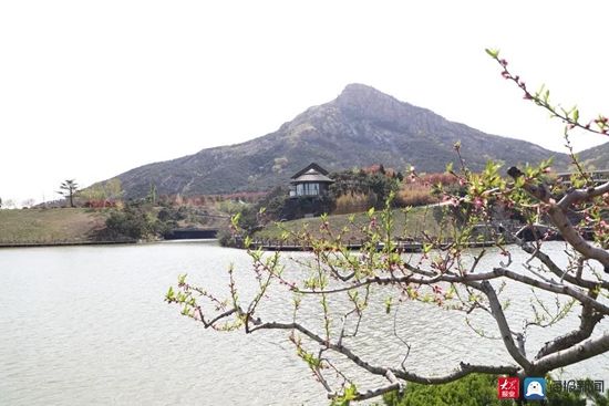 走在东港的春天里⑨：暮春之际｜不负春光不负景，淡云流水观“石老山”！