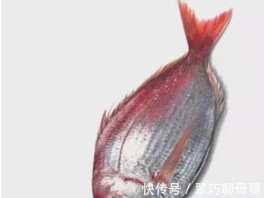 齐白石&3人画鱼挑战赛:画得最复杂的却没有人要,齐白石只画几笔却最贵