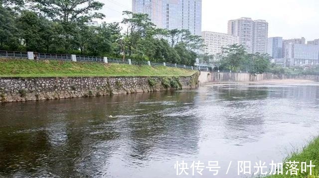 冬季钓鱼,别再“人找鱼”,下点猛料鱼儿乖乖“报道”!