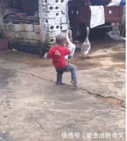 |搞笑GIF:这位姑娘想过年前谈个恋爱,要求很过分吗?