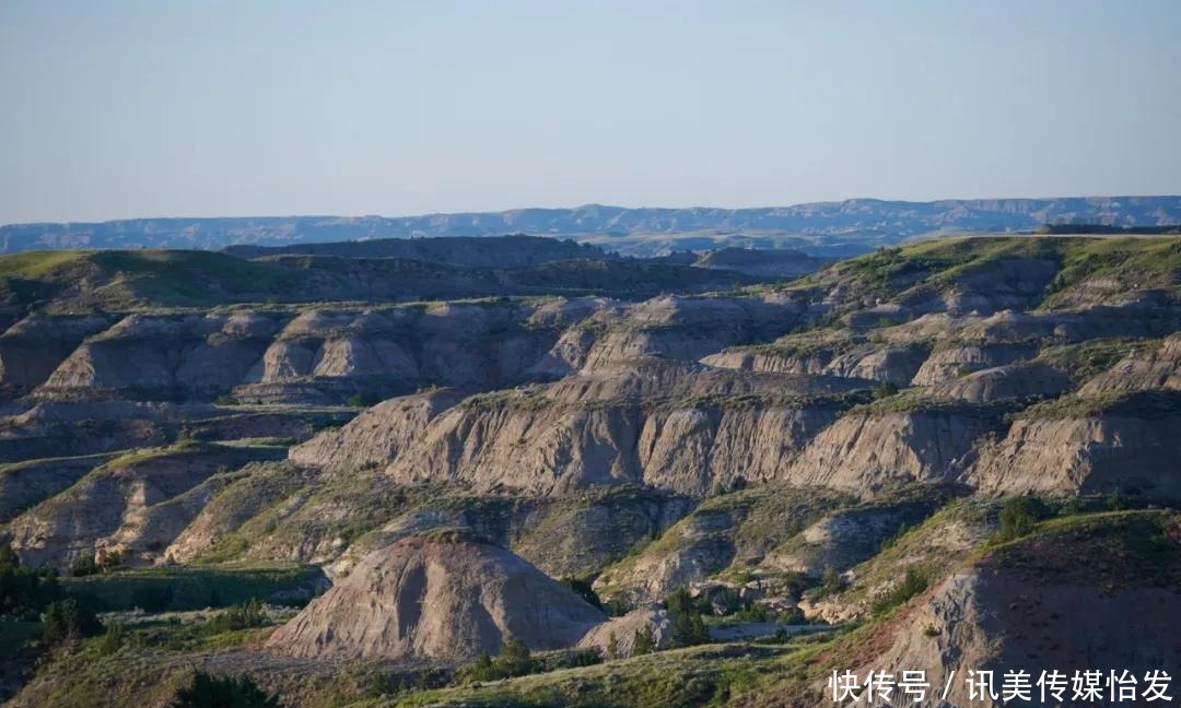 面孔|完美画报之旅野性的呼唤