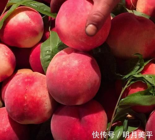 皮肤|女性想要皮肤好,建议吃3种食物,排毒养颜,滋润皮肤,富有弹性