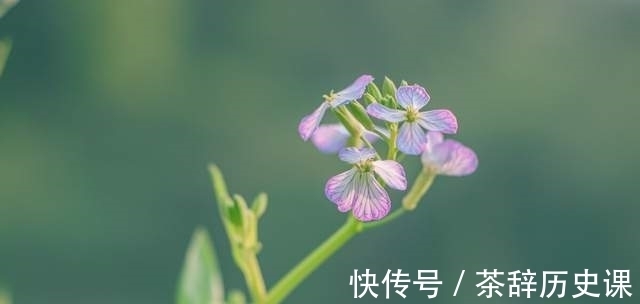 人到中年|年过四十，学会平衡