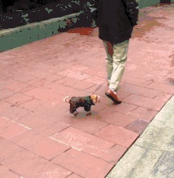 |搞笑GIF：女汉子真是不简单啊，还以为妹子要坐上去呢