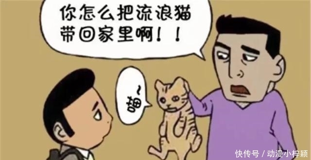 回家|搞笑漫画：男孩捡了一只小动物回家，5年后，爸爸突然失踪了！